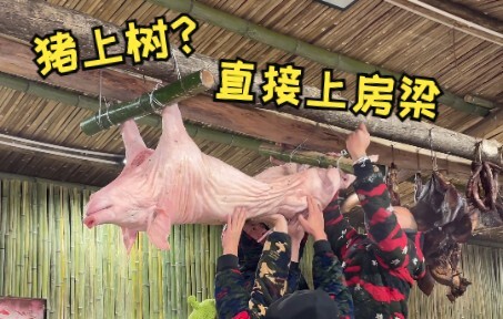 至于为什么要拿整头猪来做腊肉，看到最后你就懂了！