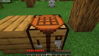 Minecraft Nhưng Bạn Sẽ Có Tất Cả Mọi Thứ Nếu Bạn Nhìn Vào Chúng