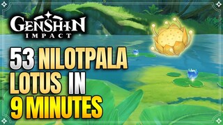 Nilotpala Lotus Locations | Fast and Efficient Farming Route | Ascension Materials |【Genshin Impact】