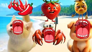 Bạn muốn cho những con vật nhỏ này ăn gì?