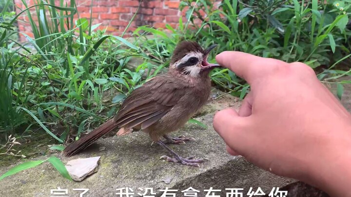 เธอคือหนึ่งในเด็กน่ารักที่ฉันคิดถึงมากที่สุด ไม่รู้ว่าตอนนี้เธอสบายดีไหม?