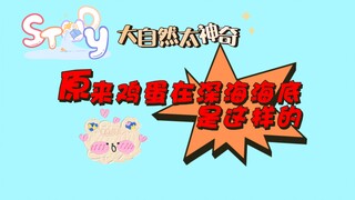 【ภาษาอังกฤษ】ที่แท้ไข่ไก่อยู่ที่ก้นมหาสมุทรลึกเป็นแบบนี้นี่เอง