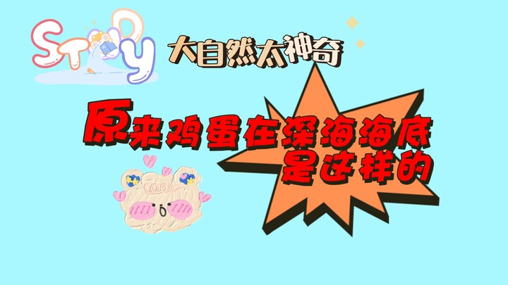 【ภาษาอังกฤษ】ที่แท้ไข่ไก่อยู่ที่ก้นมหาสมุทรลึกเป็นแบบนี้นี่เอง