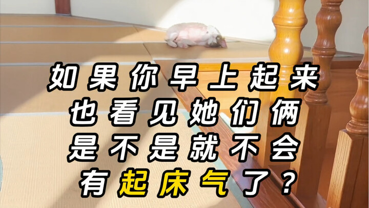 Waking up this morning, I swear I can smell happiness!