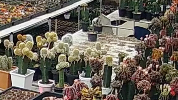 Pria ini pasti telah melakukan dosa besar sepanjang hidupnya!!!