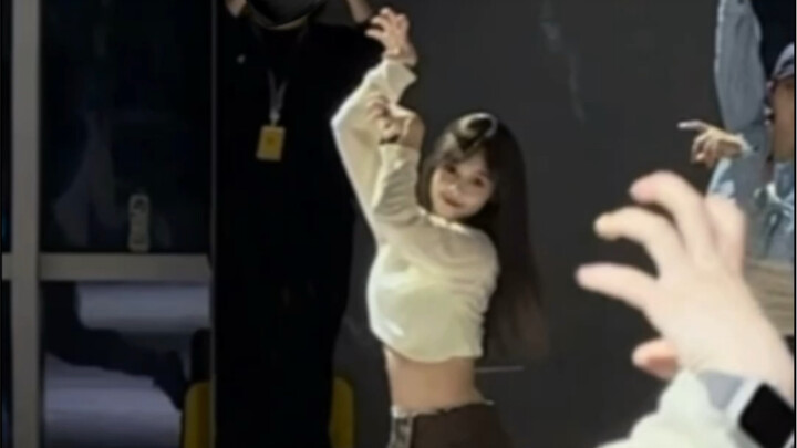 Kitten dances