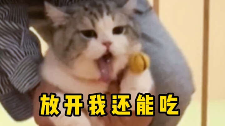 Datu: Lebih baik samar aku daripada cuma ngurangin satu kali makan!