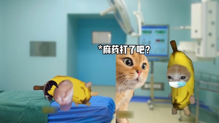 Tôi chỉ tò mò muốn xem phẫu thuật trông như thế nào thôi