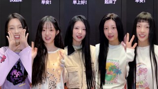 ILLIT  “起床啦🫵” 点击获取宝宝们超萌早安call！