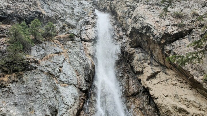 Siapa sih yang bukan bayi beracun?