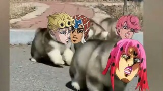 jojo的奇妙冒险狗狗版
