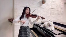 Queen of Tears/Queen of Tears "The Reasons of My Smiles" versi biola|cover oleh Flute Player