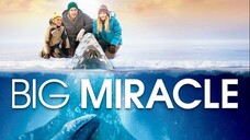 BIG MIRACLE | Family, Adventure, Drama