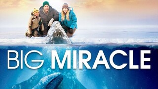 BIG MIRACLE | Family, Adventure, Drama