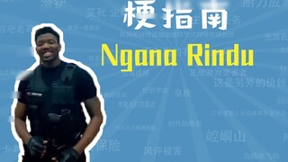Apa makna belanja nol dolar Ngana Rindu? [Panduan Meme]