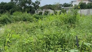 “有钱可以关注投资买地”“赚钱是努力及机遇，花钱是智慧”