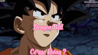 Dragon Ball _Tập 38- Có sao không ?