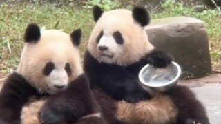 I'm really afraid that Sister Ai will smash the basin right onto my vest—and on top of my head, no l