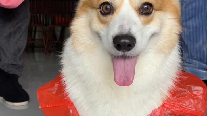 Even if it’s just a plastic bag, she’s still that messy, momma’s-girl supermodel!