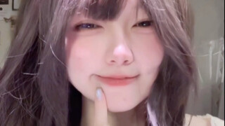 Kucing liar yang melompat-lompat