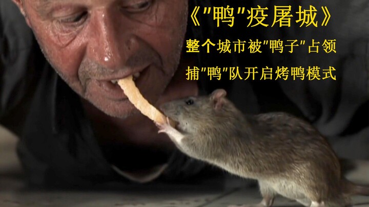 ฝูงเป็ดยึดครองเมือง โรคระบาดในเป็ดแพร่กระจายอย่างรวดเร็ว แค่ 3 วันก็สามารถติดเชื้อไปทั่วทั้งเมือง เส