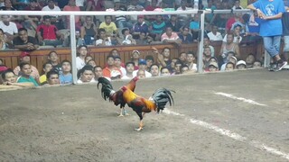 Huron lemon hangang sa huling hininga...