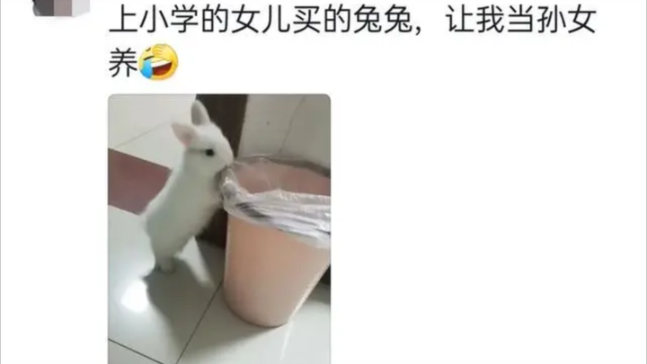 Mom complains that her kid left her with a bunch of pets to take care of, keeping her busy every day