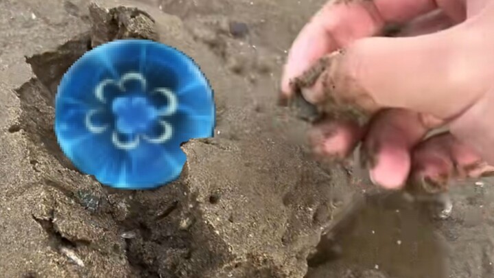 شوهدت أثناء التنزه على الشاطئ، هل من أحد يفهم؟