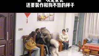 หมา : ที่บ้านคุณไม่เป็นแบบนี้นะ…