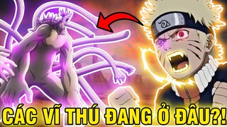 CÁC VĨ THÚ HIỆN ĐANG Ở ĐÂU?! | TÌNH HÌNH CÁC VĨ THÚ HIỆN TẠI TRONG NARUTO