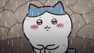 【chiikawa】| The real crying cat head appeared. It's really pitiful and cute.