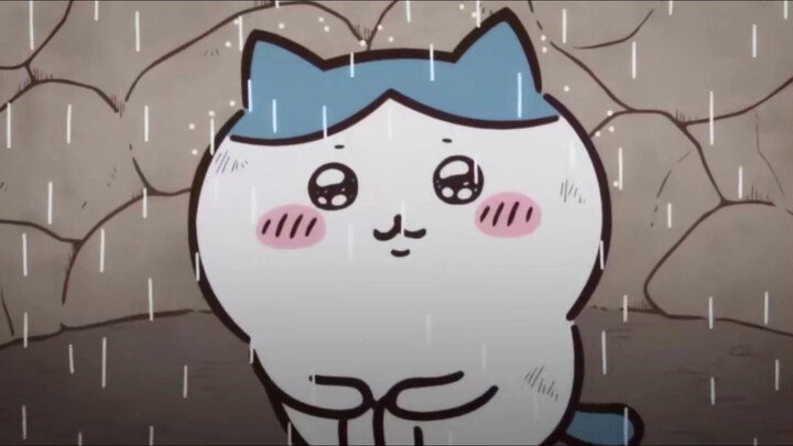 【chiikawa】| The real crying cat head appeared. It's really pitiful and cute.