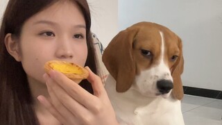 Siapa yang mau sih puding telur rusakmu itu?