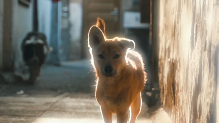 “Life should be lived well—next time we meet, I want to hear you talk about happy things!”