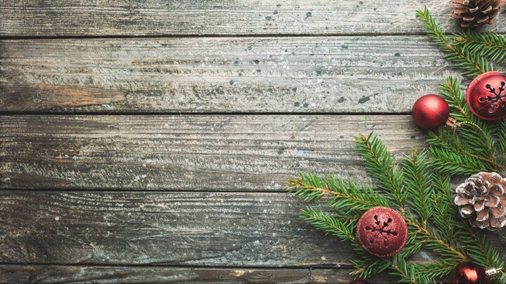 Tiktok Funny animal Videos 2023 - Try Not To Laugh new!