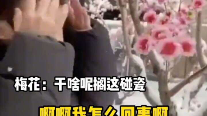 Plum Blossom: I was born into bitter cold; yet this person is even more chilling than the harshest w