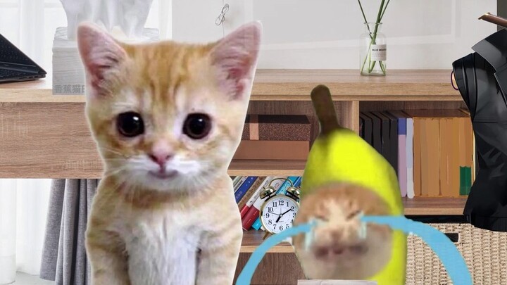 سألت قطة الموزة دمية "هل يمكنك إعارتي ورقة للحمام؟"، فكانت النتيجة أن تعرضت الدمية للأذى.