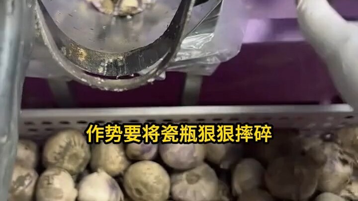 疯批摄政王强取豪夺后，我被替身当成狐媚子打杀了 (2)