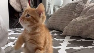 可不可以再亲一个？拜托！！