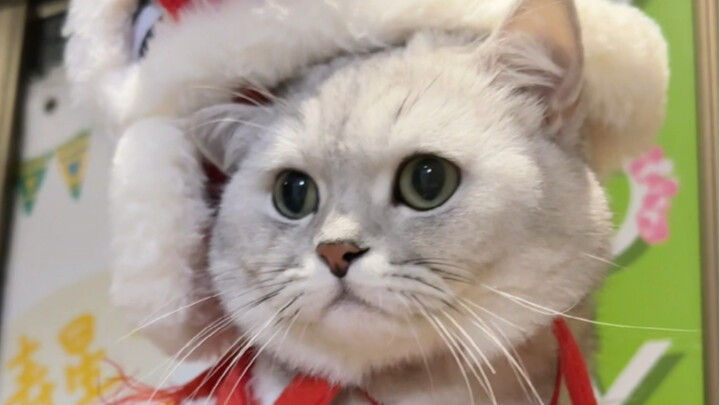 Guangxi, Guangxi, Guangxi, kamu tuh!