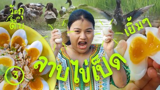 วัตถุดิบ EP3 - หาไข่เป็ด ทำลาบไข่เยิ้ม
