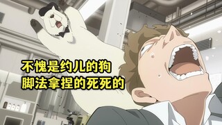 十月霸权新番：不愧是约儿的狗，连脚法都跟约儿一模一样