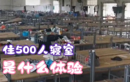 后续：500人寝室是什么存在法？？？