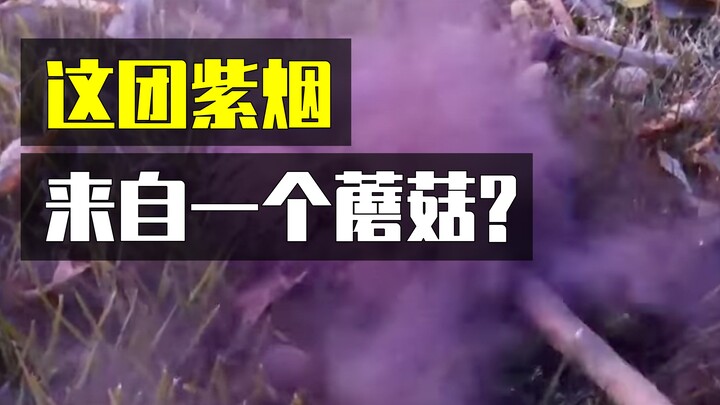 ไอ้เจ้าที่ตีแล้วพ่นควันสีม่วงนี่คืออะไร?