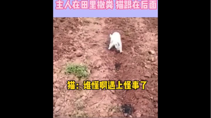 Cat: I’ve really hit rock bottom today.