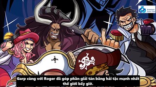 Anastasio Cocci Trần - Review - Vai Trò & Sức Mạnh Của Garp Trong Tương Lai #anime #schooltime