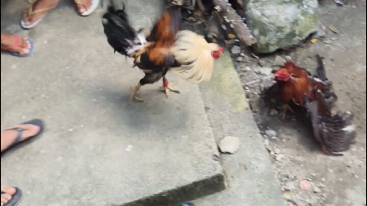 Oct 12 Nakauna pero muntik pa matalo