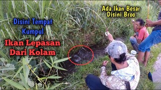 Mancing Spot Selokan Tempat Ikan Lepasan Kolam Pada Kumpul || MANTAP BROO!!