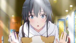 "Spring Things" Yukino, tahukah kamu sudah berapa lama aku menunggu kata-katamu?