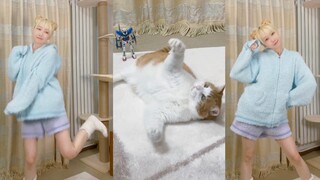春节在家和猫过年～！！(✪ω✪)